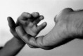 /album/solidaridad-/solidaridad-jpg/